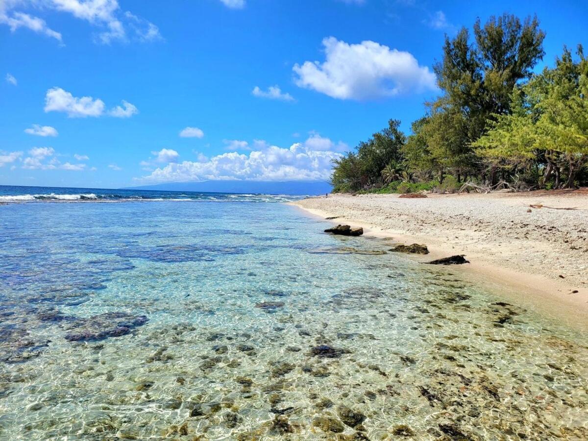 Un Ecrin De Paix Au Soleil Et Proche De La Mer Moorea Dış mekan fotoğraf