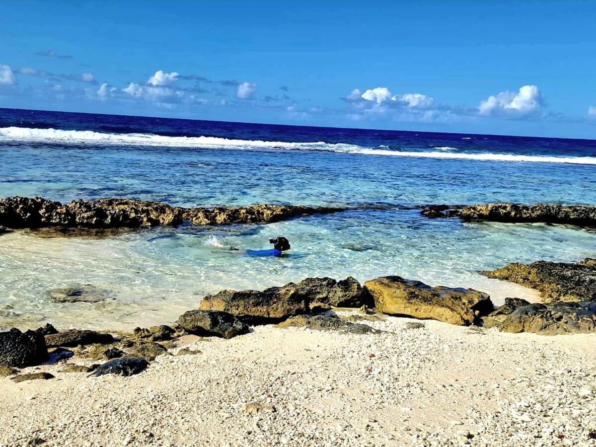 Un Ecrin De Paix Au Soleil Et Proche De La Mer Moorea Dış mekan fotoğraf